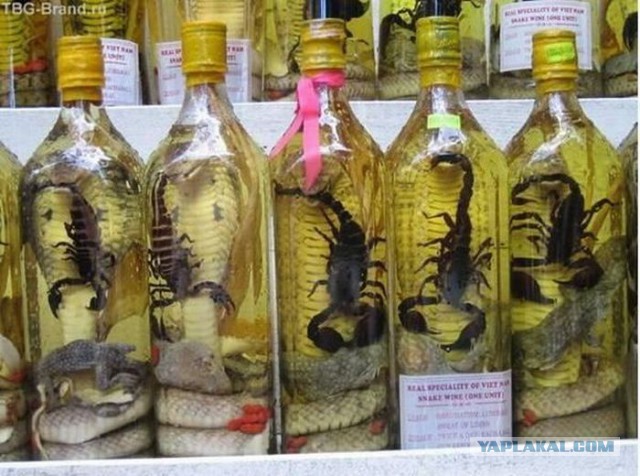 Картинки разные