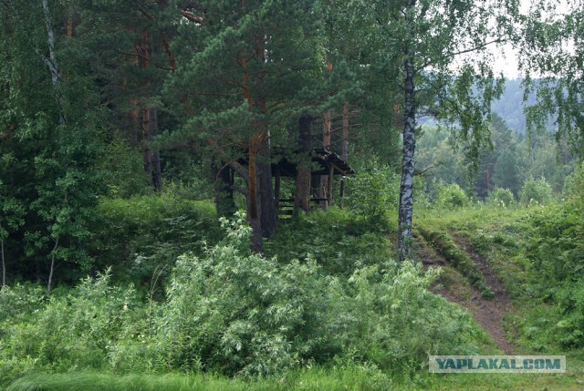 Сибирь 2015