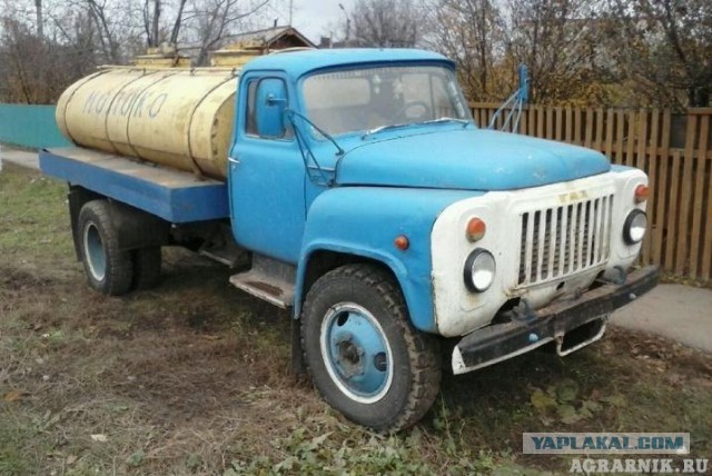 Жизнь в очередях