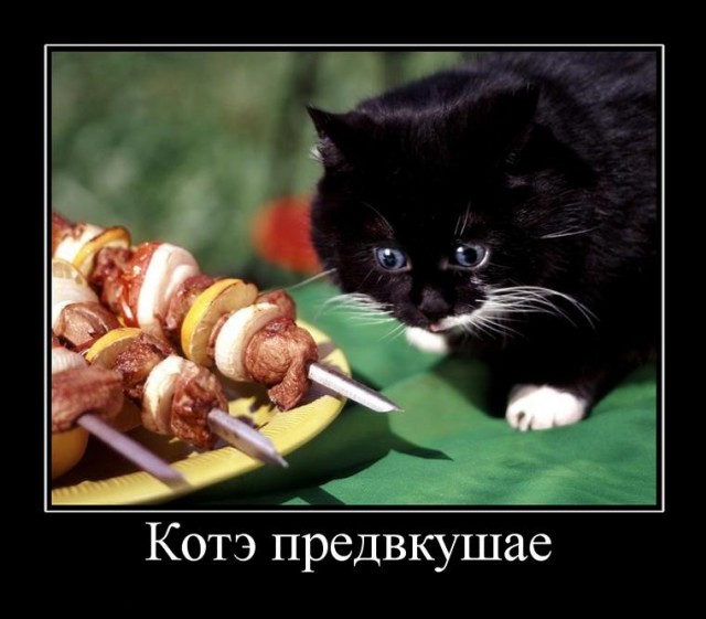 Приколюшечки