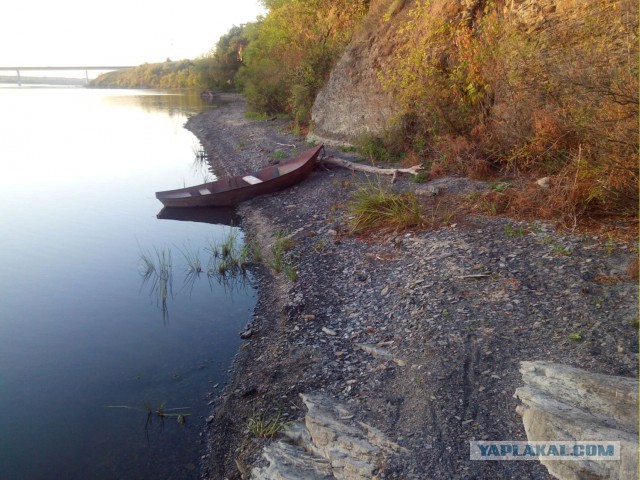 Я узнал, что у меня есть огромная семья
