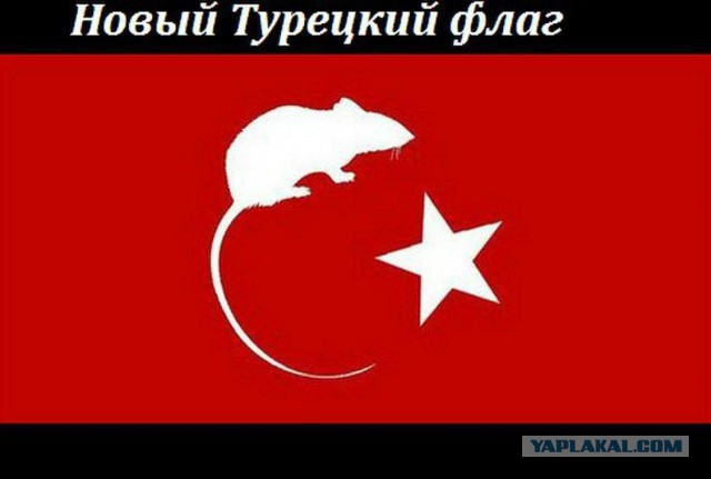 Премьер Турции заявил, что Крым — это не Россия
