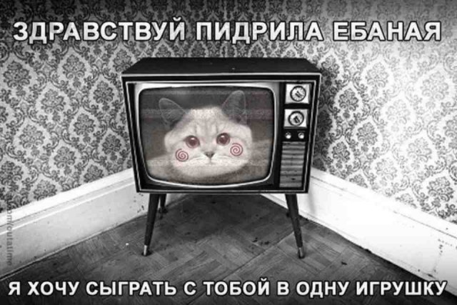 Когда терпение лопнуло