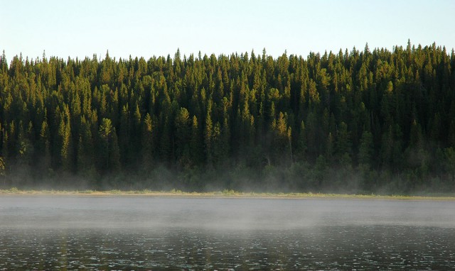 Деревенская Америка - 2