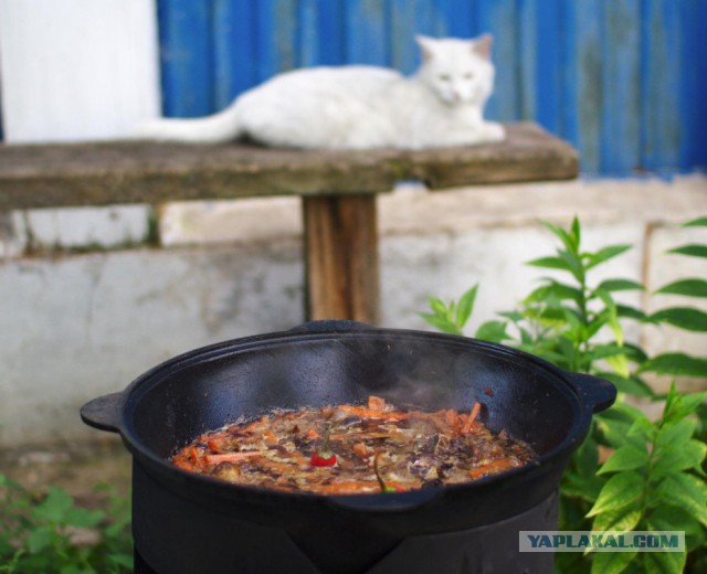 Попросил ребят сфотать как работаю...