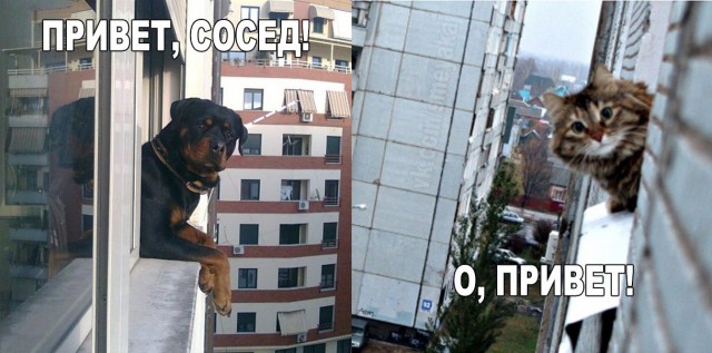 Подборка фот из этих Ваших интернетов