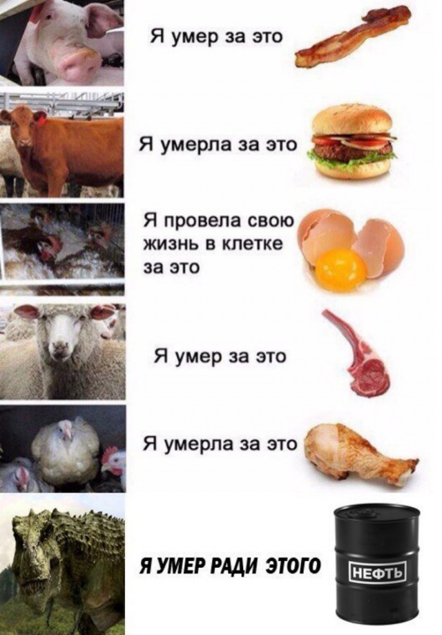 Приколы в стиле "регресс"