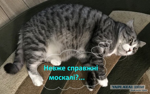 Как я опять съездил на Западную Украину (НГ 2018)