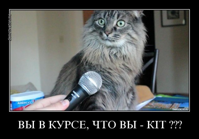 Нафтогаз - Газпрому: "Котики наши"