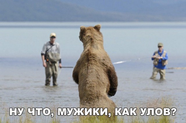 Нестандартный юмор
