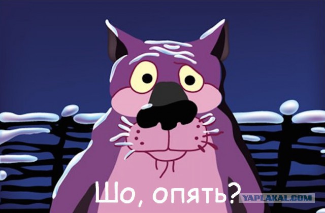 Канадский опыт и цена на бензин