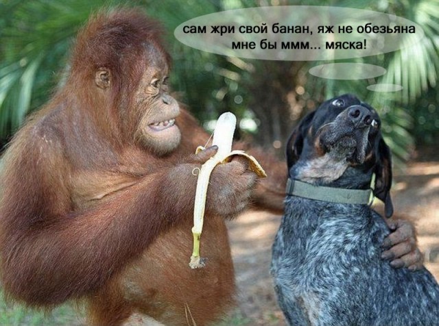 Учись - человеком станешь!