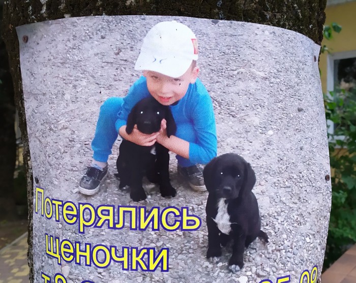 Перлы