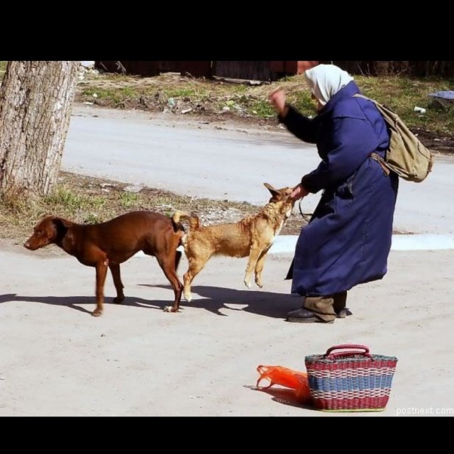 Квартет