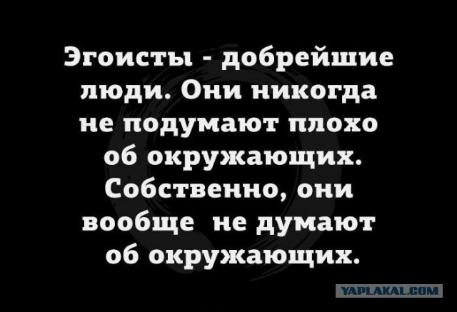 Подборка из этих интернетов