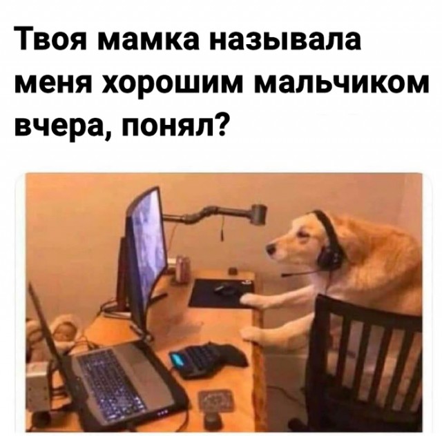 Юмор в картинках 5.10.20