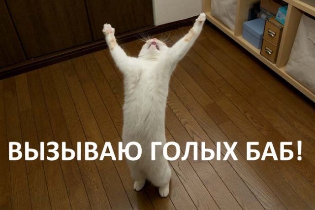 Юмор в картинках 18.10.20