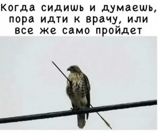 Картинки и мемы для настроения 016