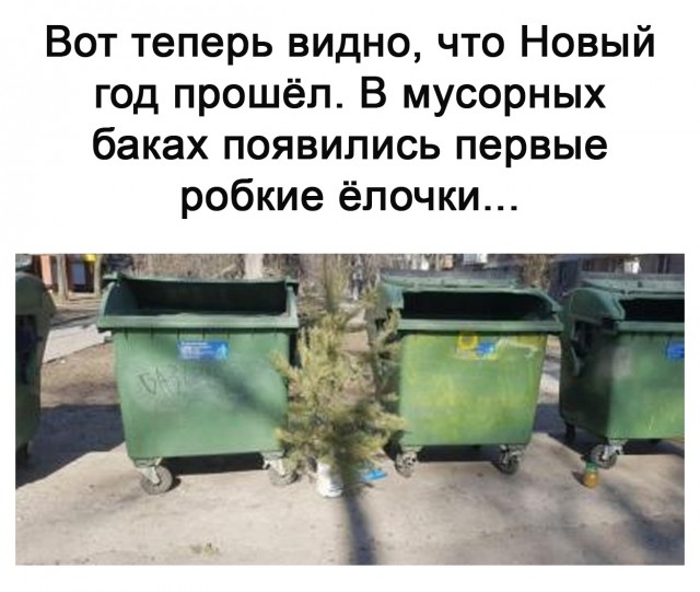 Разные картинки 24.01.21