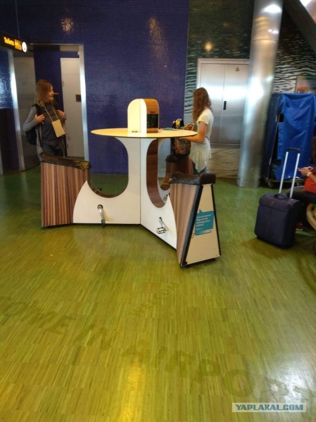 16 деталей жизни голландцев, которые доказывают, что между нашими странами — пропасть