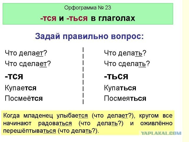 Бизнесмен Евгений Пригожин обратился в СК по поводу возможного похищения американцами