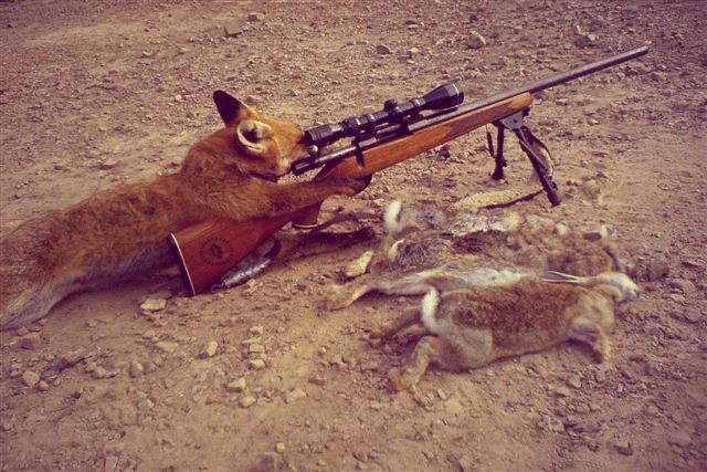 Несколько пикч ни о чём в понедельник