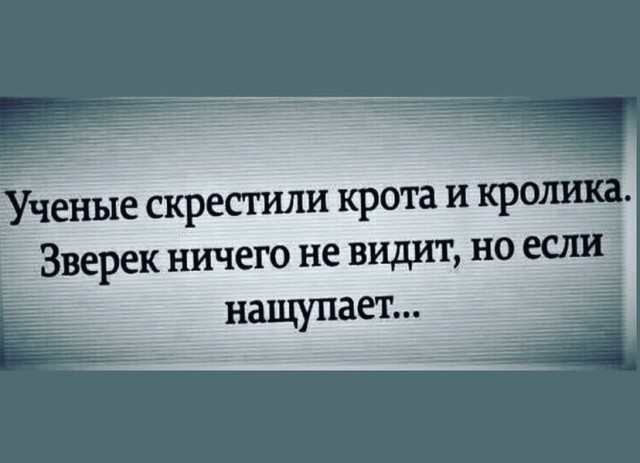 Так себе картинки 11.09.21