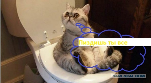 Как от меня съезжала девушка