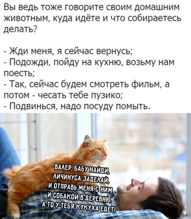 Весёлый полтишок 30.10