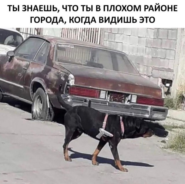 40 картинок разных 03.02.2022