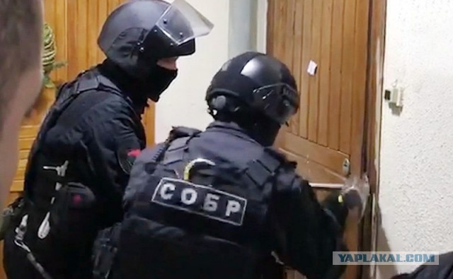 Такой масштаб нельзя игнорировать» Больше 100 тыс. человек подписали петицию с требованием отставки Рамзана Кадырова