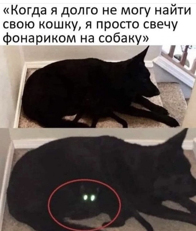 Картинки с надписями и всякие жизненные фразы