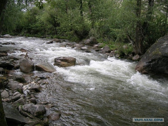 Алтай.
