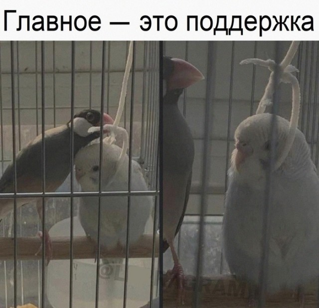 Воскресная чернуха!