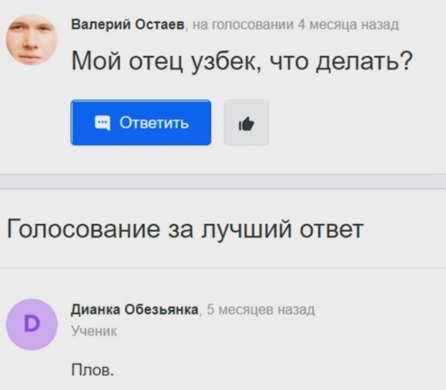 Так себе картинки 26.07.22