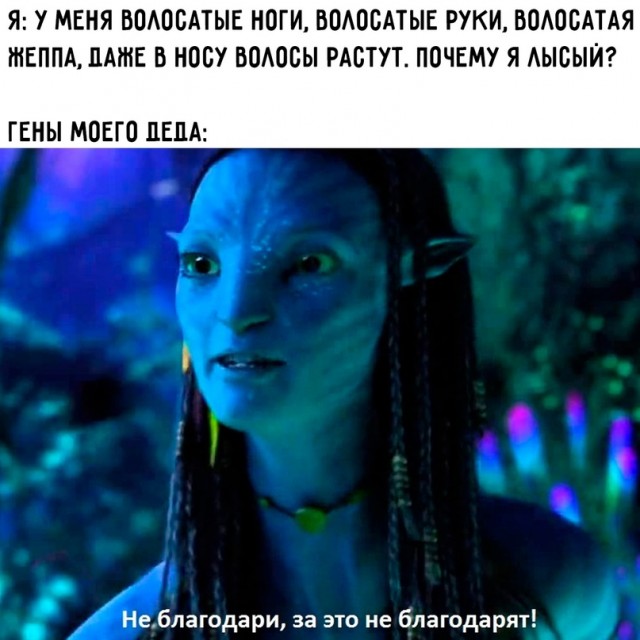 Немного картинок."Колбасный ветер". Август
