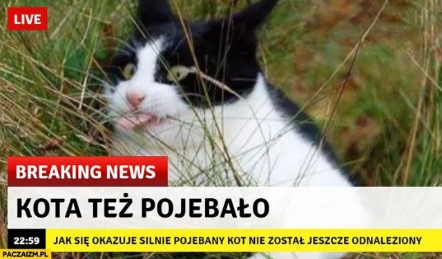 Подрезали поляка