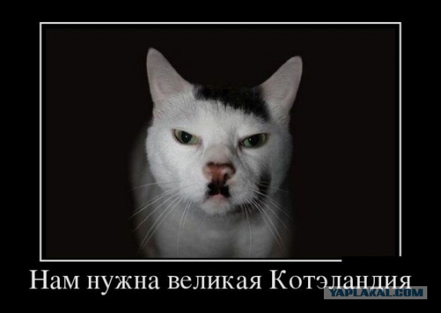 С Курильским бобтейлом на рыбалку