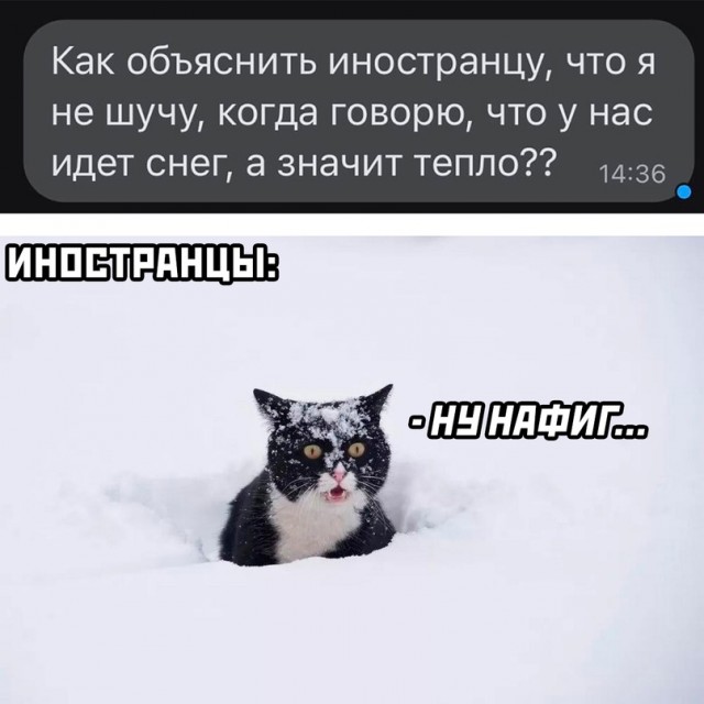 Картинки и мемы для настроения - 125