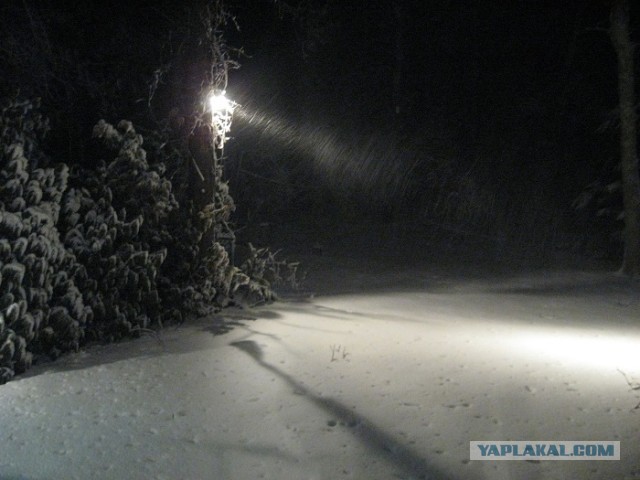 Деревенская Америка