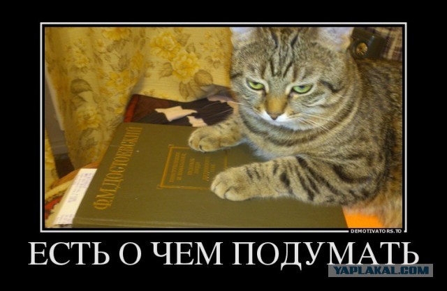Убить котика..