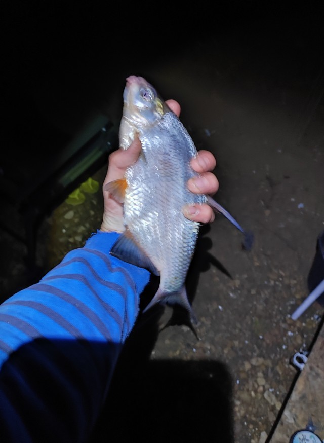 Рыбалка