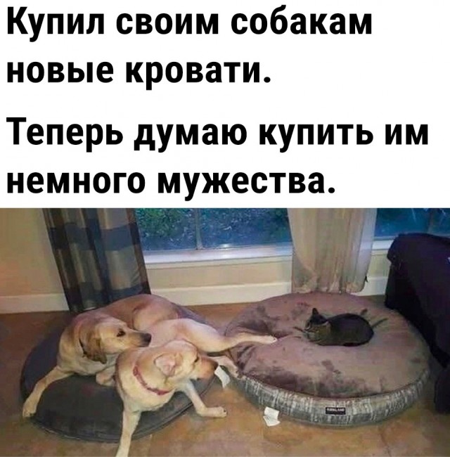 Так себе картинки 08.08.23