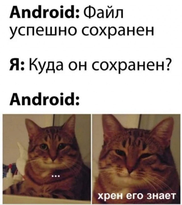Тлидцать тли от 12 февлаля