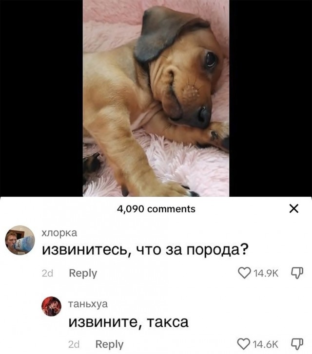 Так себе картинки 01.04.24