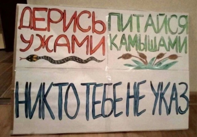 Немного наркомании и шизофрении в ленту
