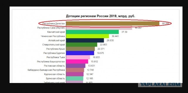 В Махачкале вооруженные силовики проводят следственные мероприятия в школе единоборств имени Нурмагомедова