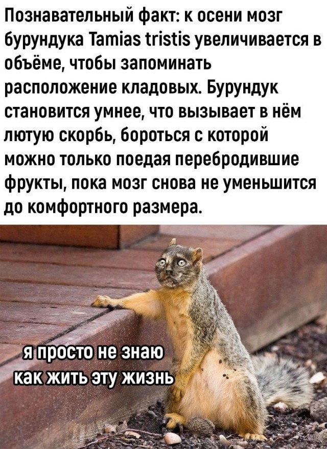 Немного ниочём
