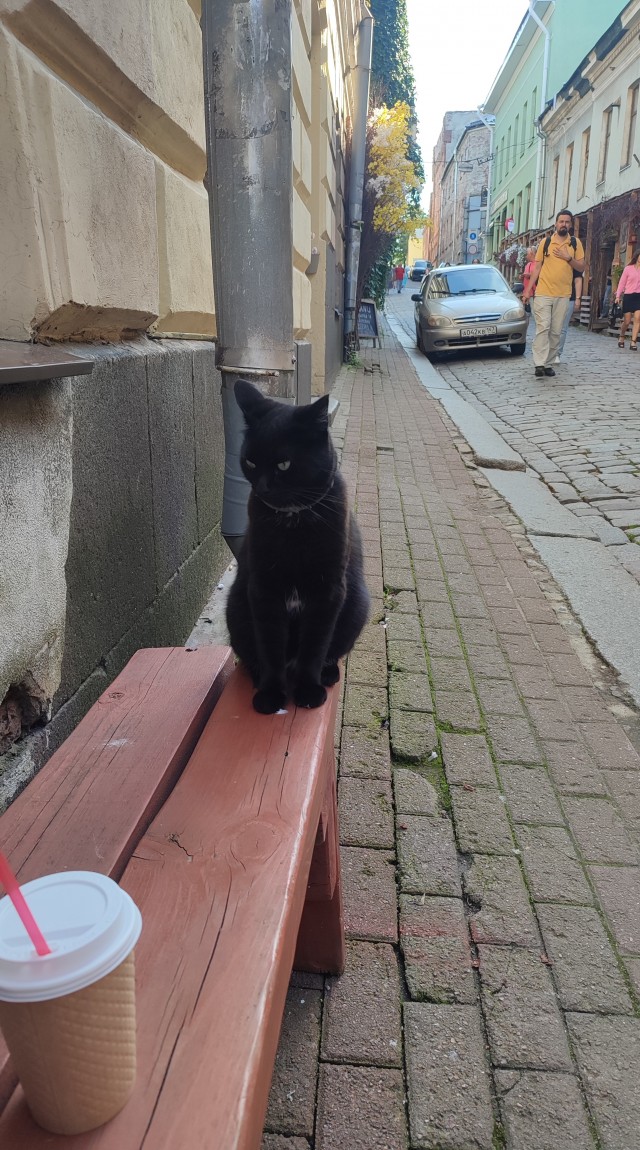 В этом городе живёт небо…
