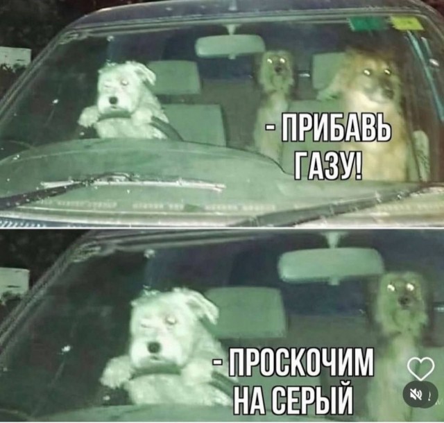 Картинки разные с надписями и без